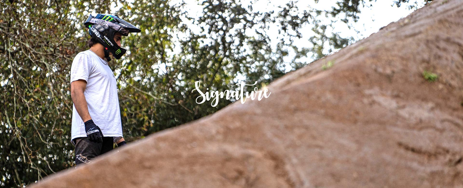 Collection - Signature